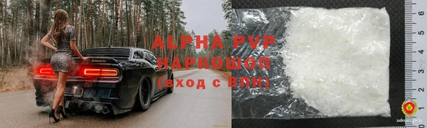 соль ск Новодвинск