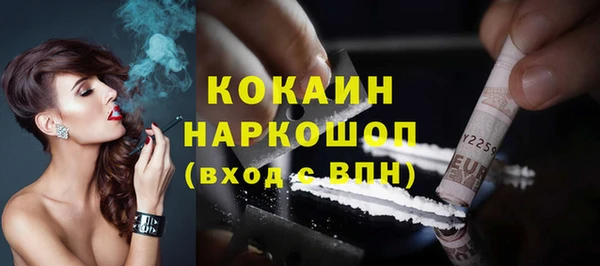соль ск Новодвинск