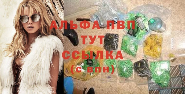 соль ск Новодвинск