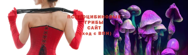 соль ск Новодвинск