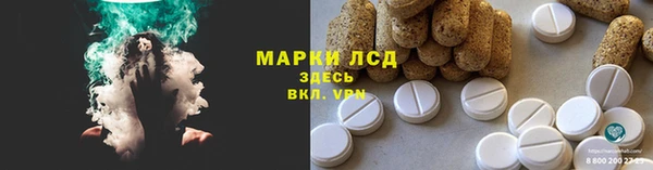 соль ск Новодвинск