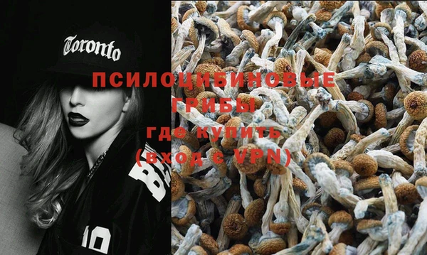spice Новозыбков