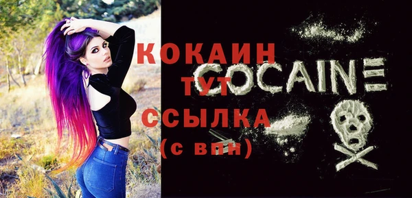 spice Новозыбков