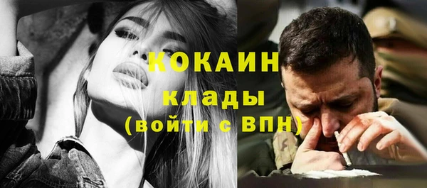 соль ск Новодвинск