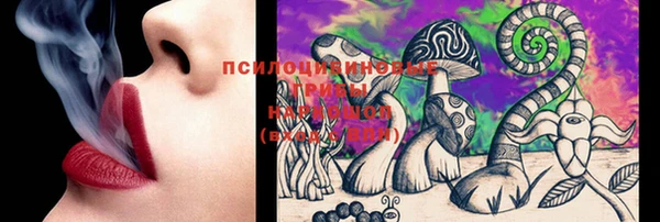 соль ск Новодвинск