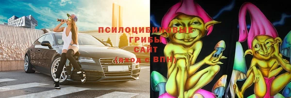 тгк Новокубанск