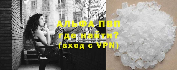 spice Новозыбков