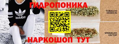 ГАЛЛЮЦИНОГЕННЫЕ ГРИБЫ Севастополь