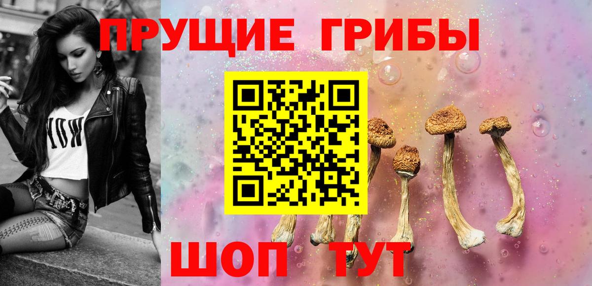 Галлюциногенные грибы мицелий  Вход с VPN  Шуя 
